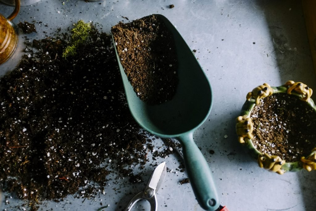 Food Safety: 5 Best Practices to Pass Your Certification