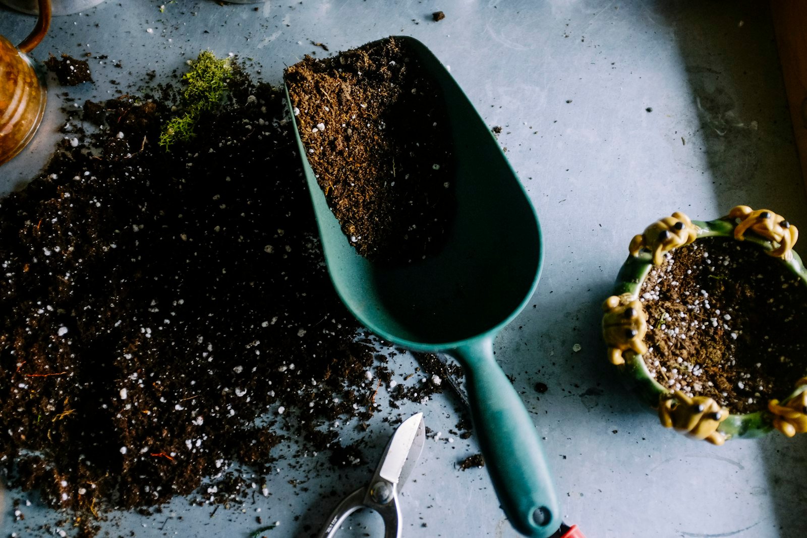 Food Safety: 5 Best Practices to Pass Your Certification
